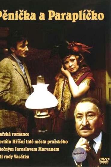 Poster image for Burglar and Umbrella