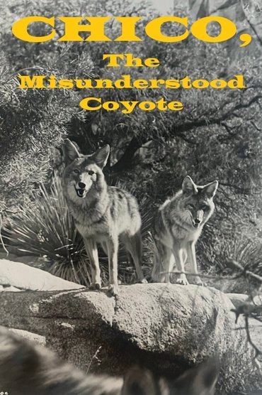 Poster image for Chico, the Misunderstood Coyote