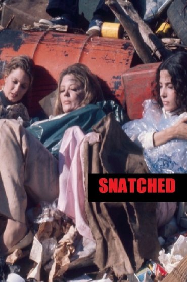 Poster image for Snatched