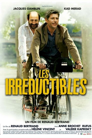 Poster image for Les Irréductibles