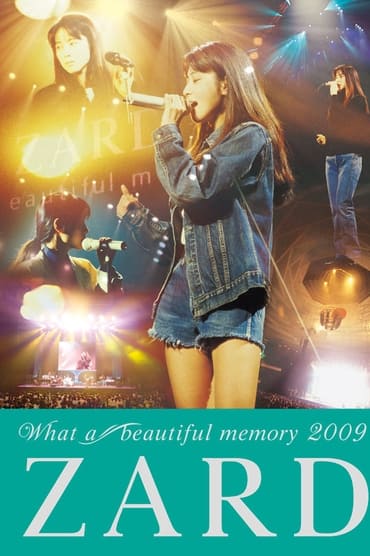 Poster image for ZARD What a beautiful memory 2009