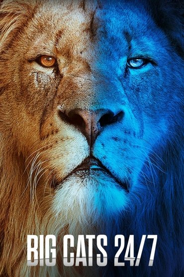 Poster image for Big Cats 24/7