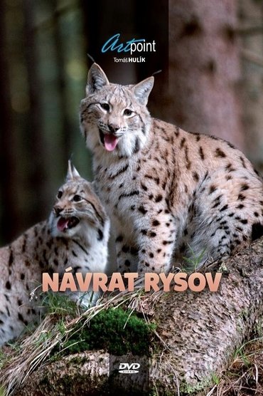 Poster image for Návrat rysov