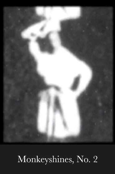 Poster image for Monkeyshines, No. 2