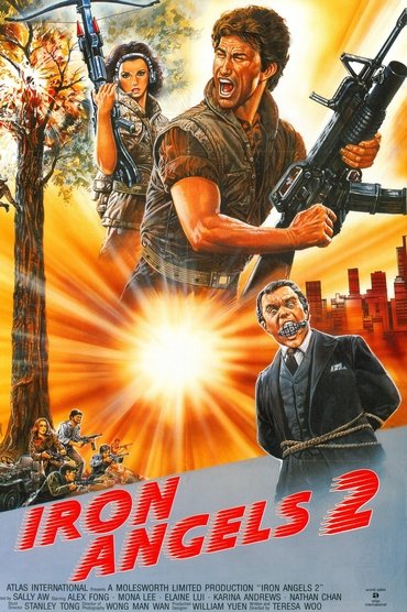 Poster image for Iron Angels 2
