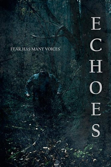 Poster image for Echoes