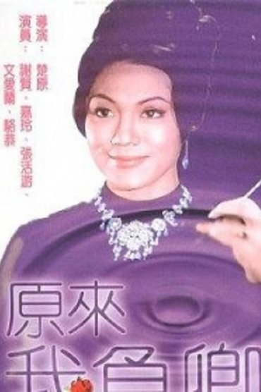Poster image for The Princess and the 7 Little Heroes