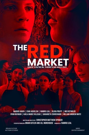 Poster image for The Red Market