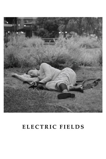 Poster image for Electric Fields