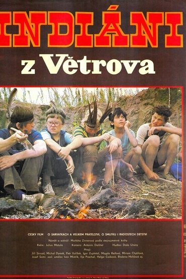 Poster image for Indians from Vetrov