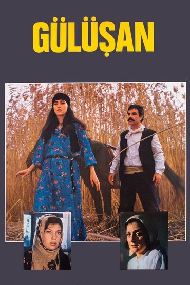 Poster image for Gülüşan