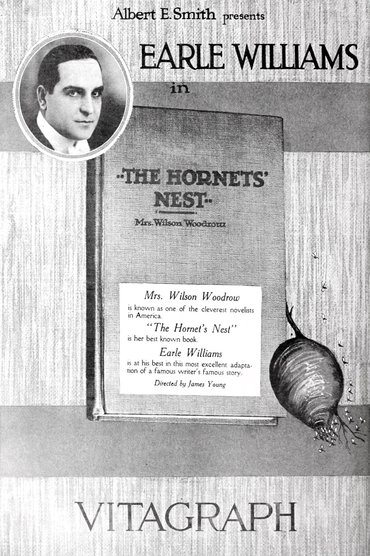 Poster image for Hornet's Nest