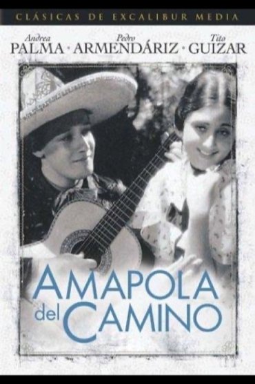 Poster image for Amapola Del Camino