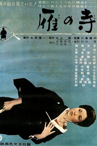 Poster image for The Temple of Wild Geese