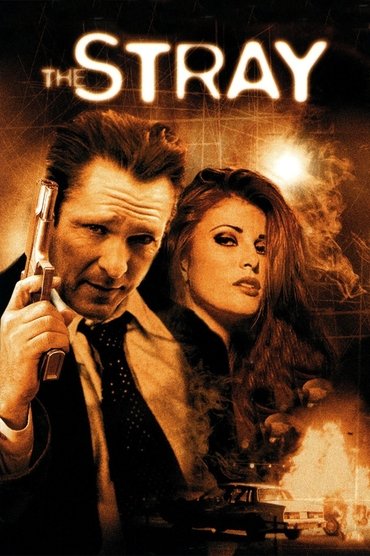 Poster image for The Stray