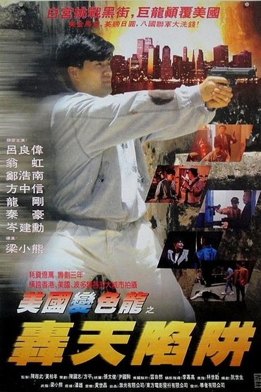 Poster image for Guns of Dragon