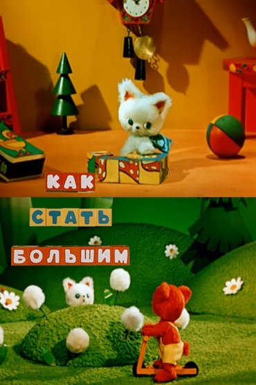 Poster image for How to Become a Grown-Up