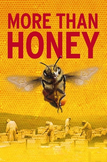 Poster image for More Than Honey