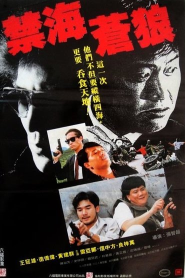 Poster image for The Killer from China
