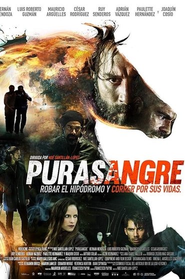 Poster image forThoroughbred