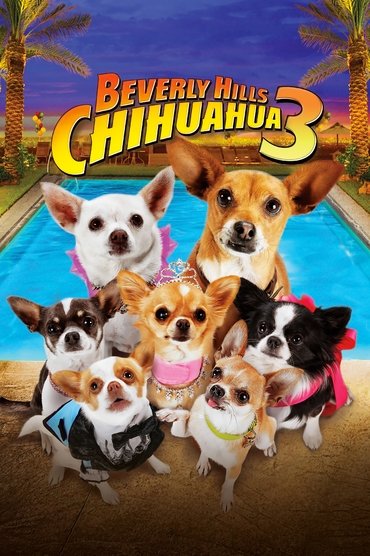Poster image forBeverly Hills Chihuahua 3