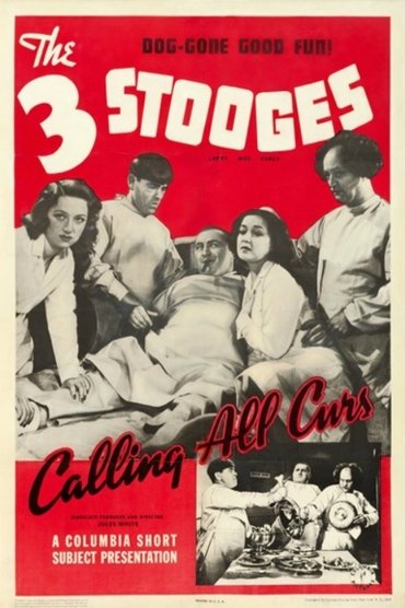 Poster image for Calling All Curs