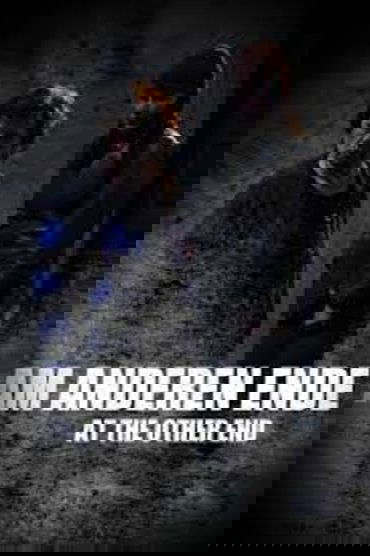 Poster image for At the Other End