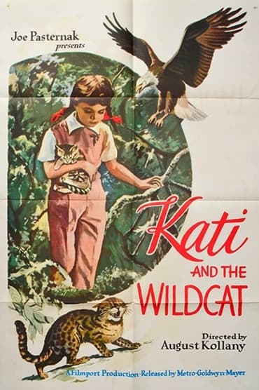 Poster image for Kati és a vadmacska