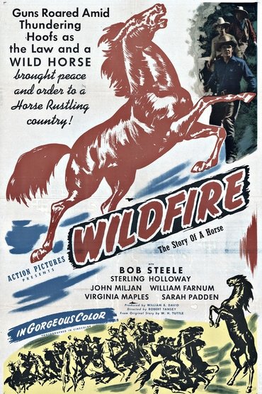 Poster image for Wildfire