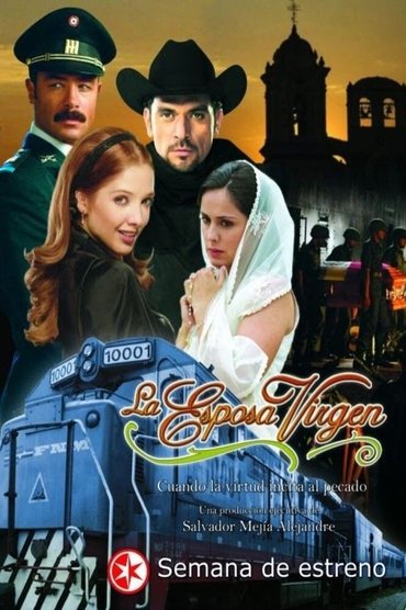 Poster image forThe Virgin Wife