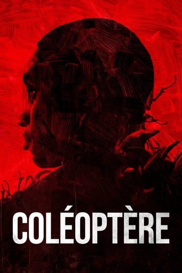Poster image for Coléoptère