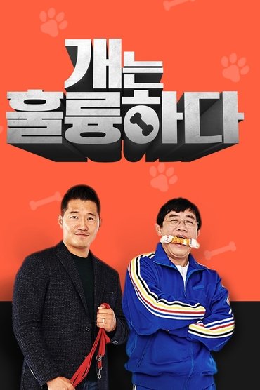 Poster image for undefined