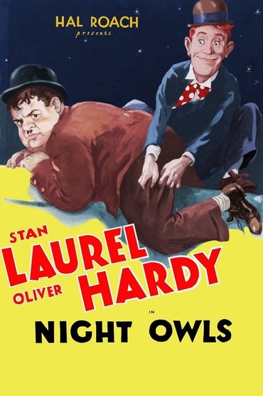 Poster image forNight Owls