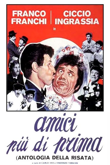 Poster image for Amici più di prima