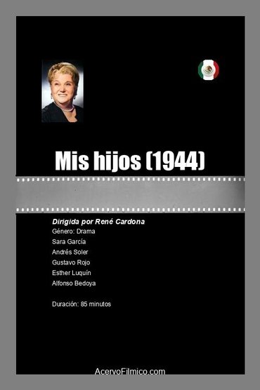 Poster image for Mis hijos!