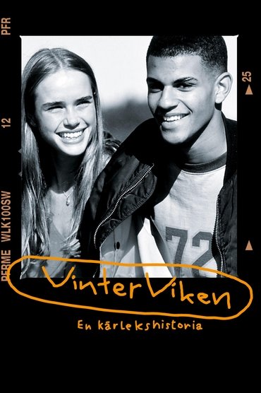 Poster image for Vinterviken