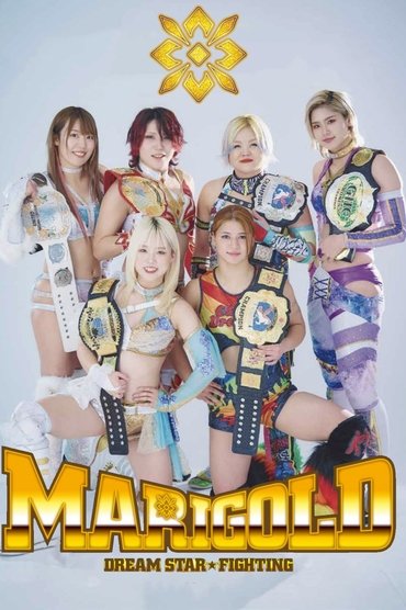 Poster image for undefined