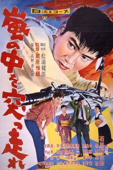 Poster image for Showdown in the Storm