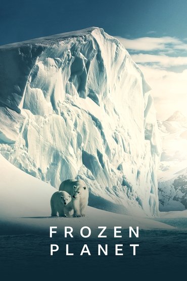 Poster image forFrozen Planet