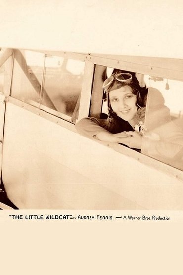 Poster image for The Little Wildcat