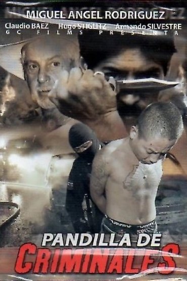 Poster image for Pandilla de criminales