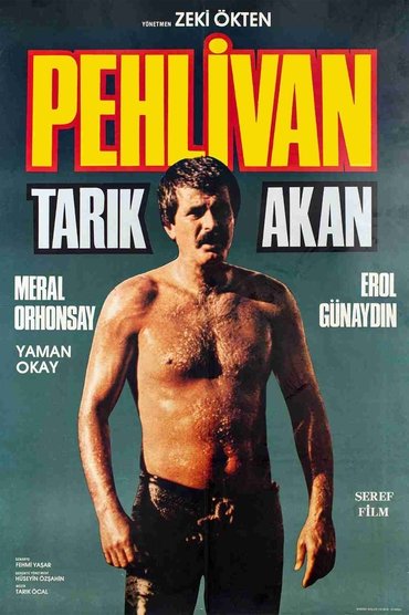 Poster image for The Wrestler