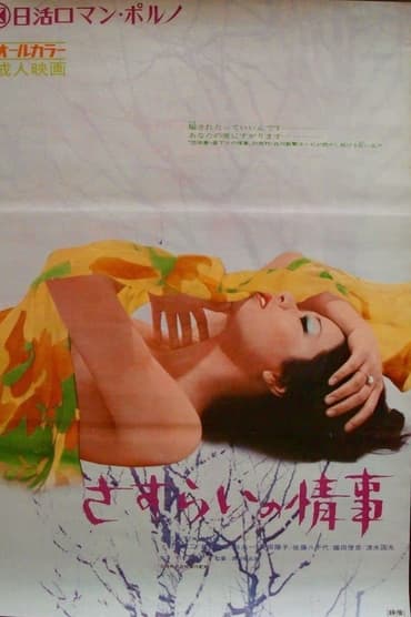 Poster image for Drifter's Affair