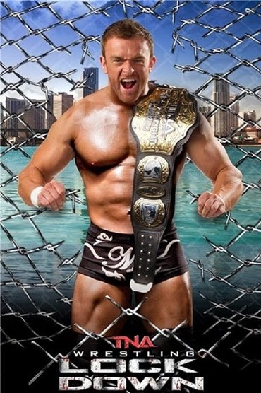 Poster image for TNA Lockdown 2014