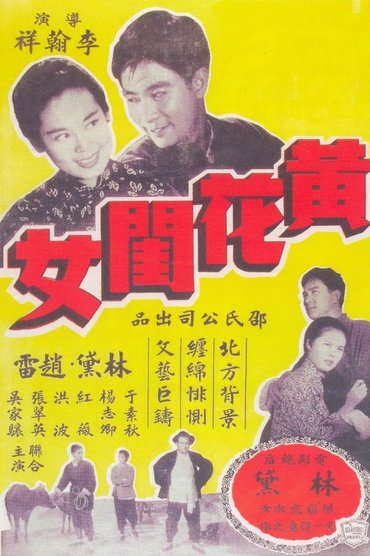 Poster image for Lady in Distress