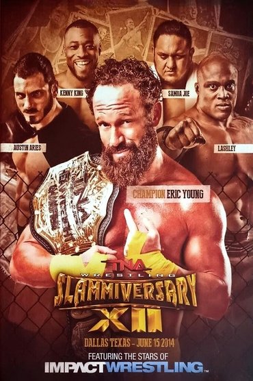 Poster image for TNA Slammiversary XII