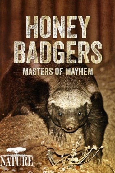 Poster image forHoney Badgers: Masters of Mayhem