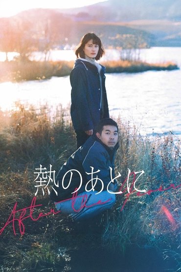 Poster image for After the Fever