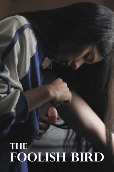 Poster image for The Foolish Bird