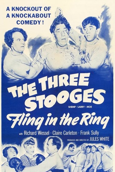 Poster image for Fling in the Ring